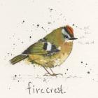 Firecrest