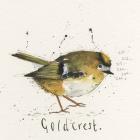 Goldcrest