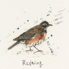 Redwing