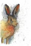 Hare 3