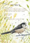 Long Tailed Tit Postcard