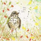 Song Thrush