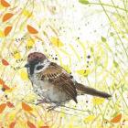 Tree Sparrow