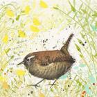 Wren