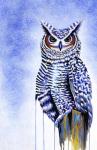 Great Horned Owl In Blue