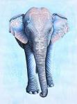 Painted Asian Elephant