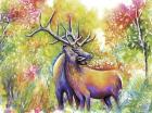 Elk Love