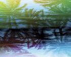 Sea Tropics 17