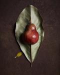 Leaf and Pear 4