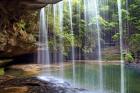 Alabama Caney Creek Veil