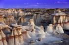 Bisti Badlands