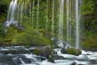 Mossbrae Falls