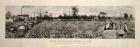 Picking Cotton in GA 1915