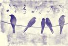 Blue Songbirds