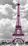 Paris Pink