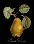 St. Lerain Pear