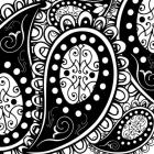 Paisley Party B/W