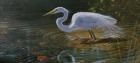 Egret