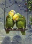 Pair of Lovebirds