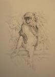 Monkey Sketch