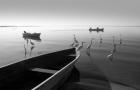 Herons and 3 Boats