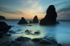 Rodeo Beach I