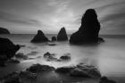 Rodeo Beach I, Black and White