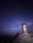 Starry Night in Arizona I