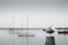 Four Boats & Seagull