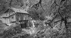 Cedar Creek Grist Mill B&W