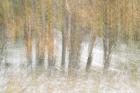 Motion Trees 2