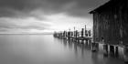 China Camp Pano