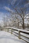 Fence in the Snow #2, Farmington Hills, Michigan 09