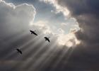 Flying on Sunbeams, Macinaw Island, Michigan 10