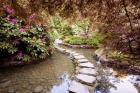 Stepping Stones at Butchart Gardens #2, Victoria, B.C. 09