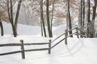 Winter Fence & Shadow, Farmington Hills, Michigan 09