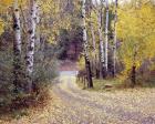 Birch Tree DriveFence & Road, Santa Fe, New Mexico 06