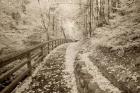 Fence & Pathway, Munising, Michigan 12