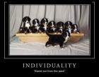 Individuality Motivational