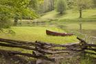 Canoe & Fence