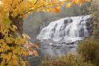 Lower Bond Falls In Autumn #2, Bruce Crossing, MI 11