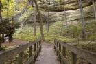 Bridge In The Canyon