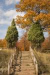 Wooden Steps In Autumn, Marquette, Michigan 12