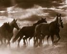 Running Horses And Sunbeams, Rothbury, Michigan