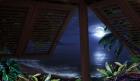 Tropical Dream Moon View