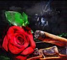 Rose Cigar