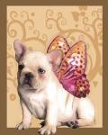 Butterfly Dog 1