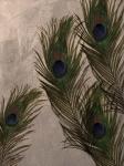 Peacock Feathers I