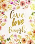 Live Love Laugh