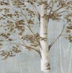 Birch Study I